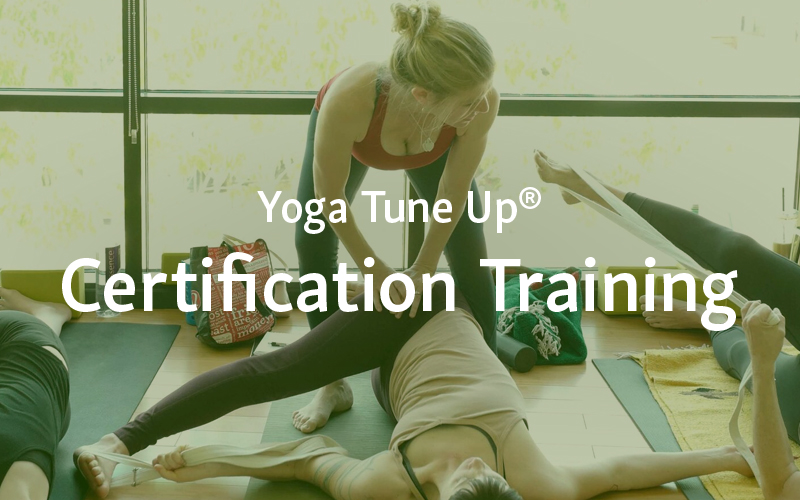 Yoga Tune Up® and The Roll Model Method® Trainings
