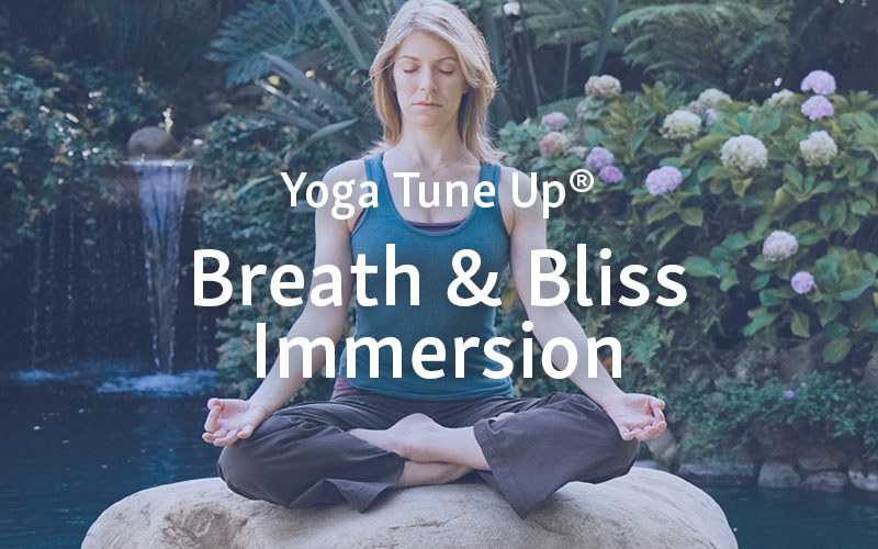 roll model yoga tune up