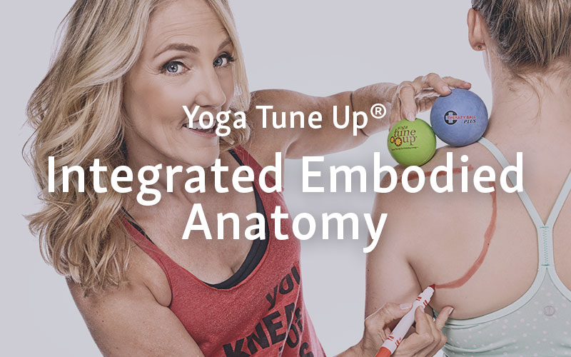 Yoga Tune Up® and The Roll Model Method® Trainings