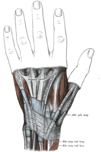 Repetitive motions, like texting, can cause an irritation of the tendons of the thumb. 