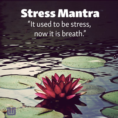 QUOTE: stress mantra "it used to be stress, now it is breath