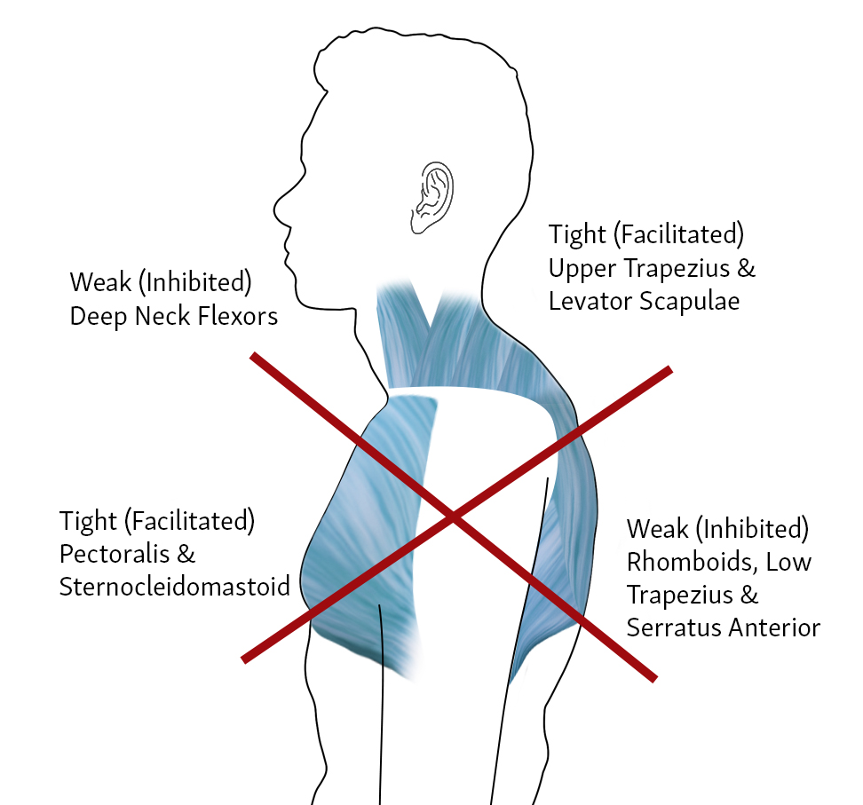 How Posture Can Shape Perception and Influence Respect