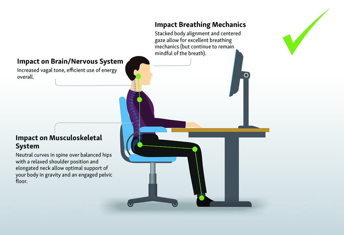 Understanding Ergonomics: The Essentials All Office Workers Should Know