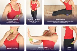 Curated visual reference: Best Self Myofascial Release Techniques For Runners Reference: Self Myofascial Release Techniques Using Massage Balls