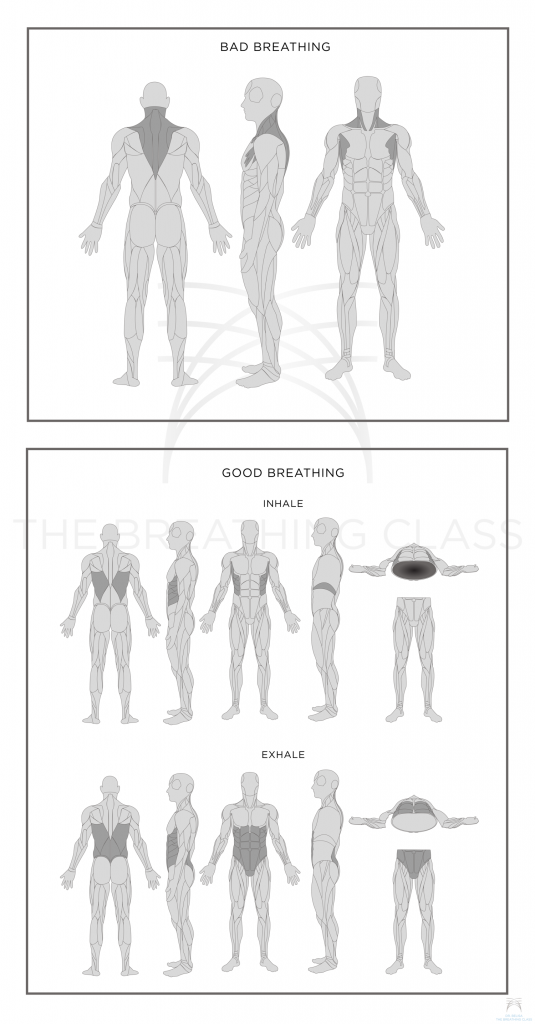 Dr. Belisa Vranich diagram of Good Vs Bad Breathing, from The Breathing Class website