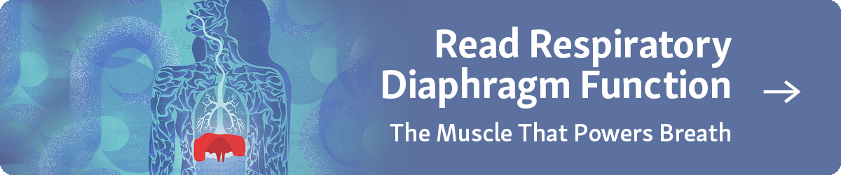 Button: Read Respiratory Diaphragm Function: Understanding the Muscle that Powers Breath